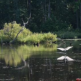 самостоятельные путешествия