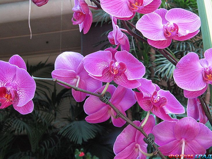 самостоятельные путешествия