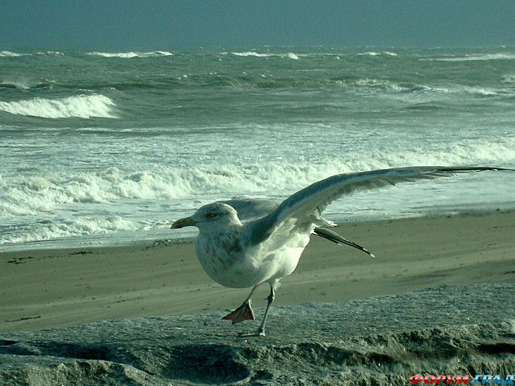 самостоятельные путешествия