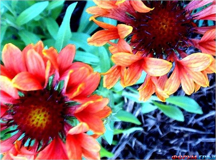 самостоятельные путешествия