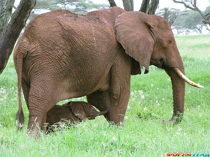самостоятельные путешествия