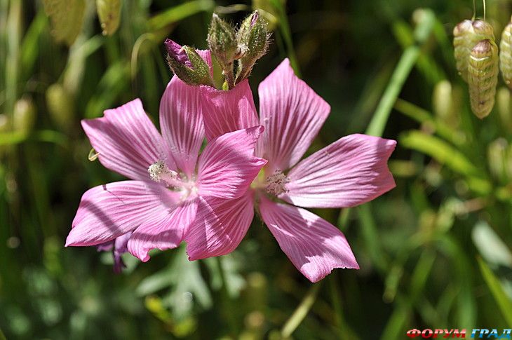 самостоятельные путешествия