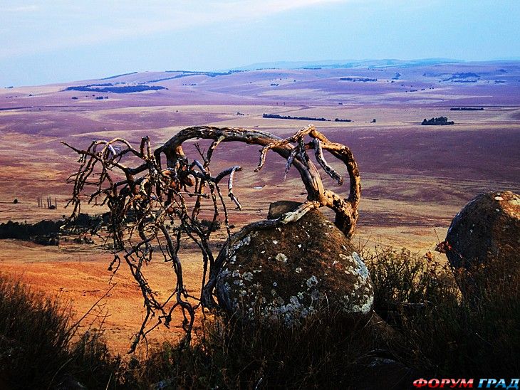 самостоятельные путешествия