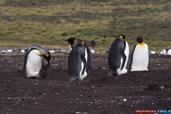 самостоятельные путешествия
