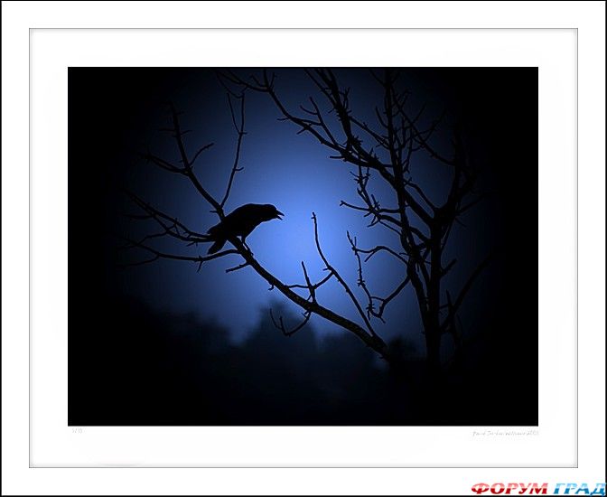 самостоятельные путешествия