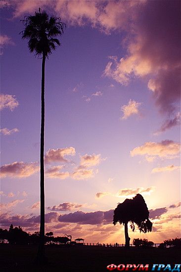 самостоятельные путешествия