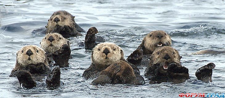 самостоятельные путешествия