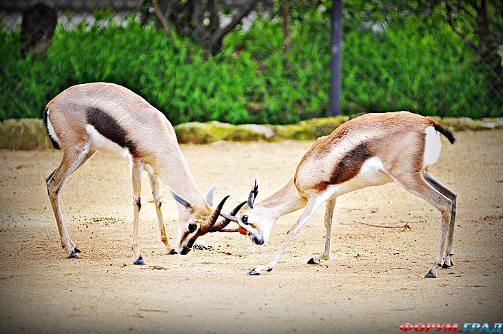 самостоятельные путешествия