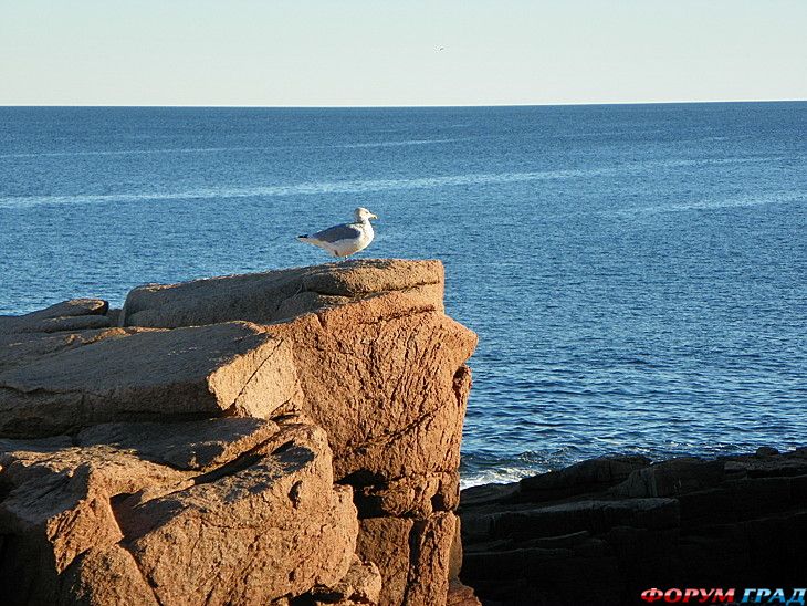 самостоятельные путешествия