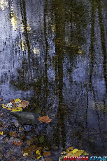 самостоятельные путешествия