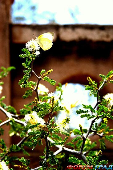 самостоятельные путешествия