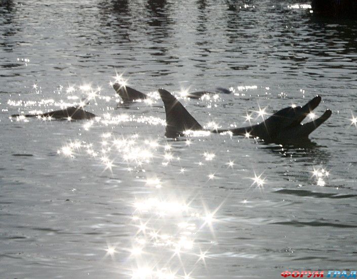 самостоятельные путешествия