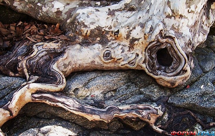 самостоятельные путешествия