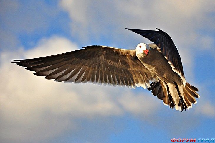 самостоятельные путешествия