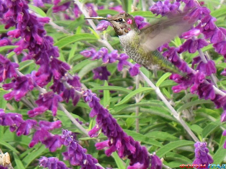 самостоятельные путешествия