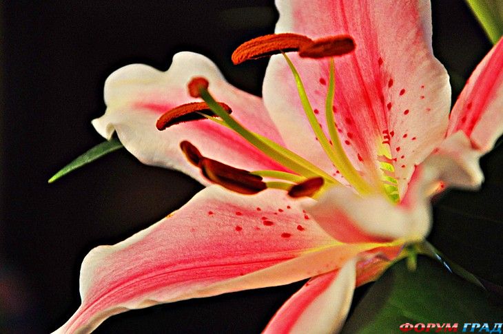 самостоятельные путешествия