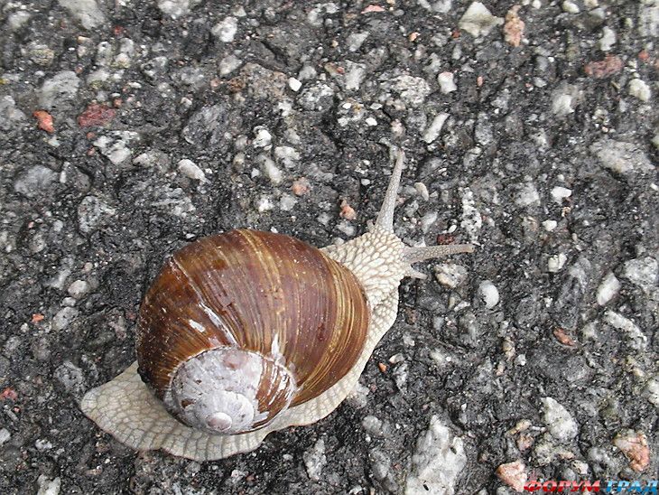 самостоятельные путешествия