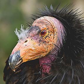 самостоятельные путешествия