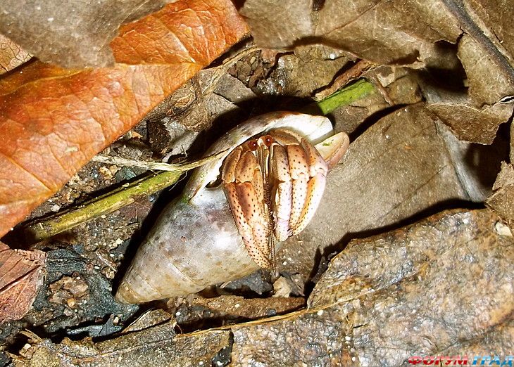 самостоятельные путешествия