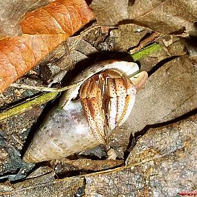 самостоятельные путешествия