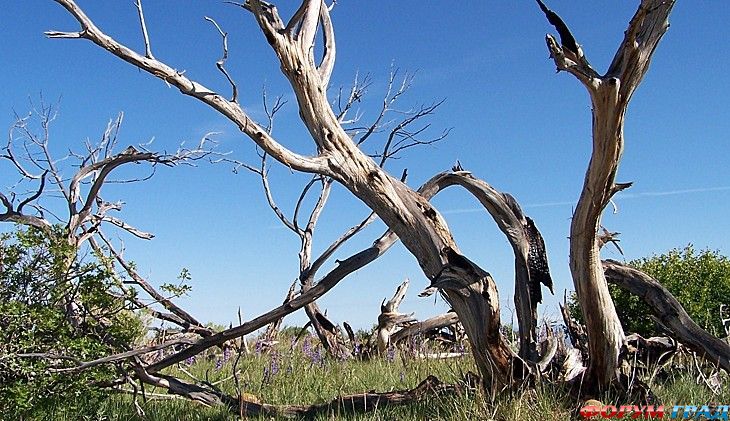 самостоятельные путешествия