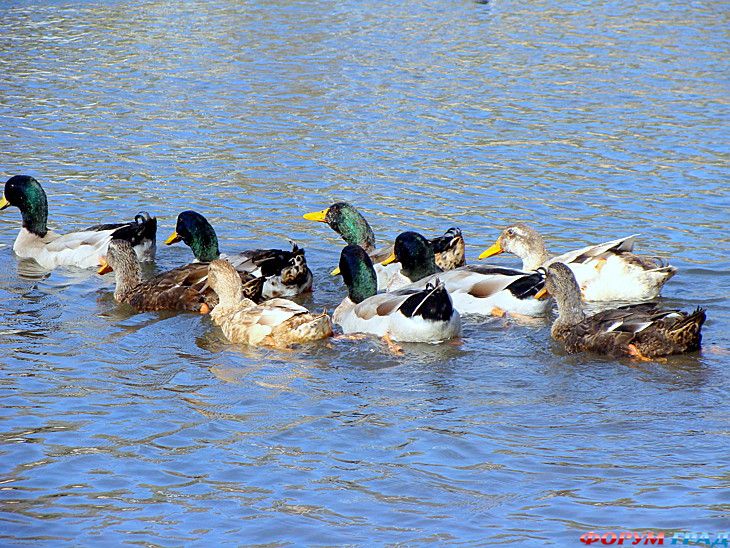 самостоятельные путешествия