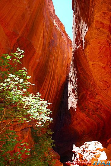 самостоятельные путешествия