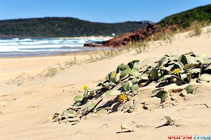 самостоятельные путешествия