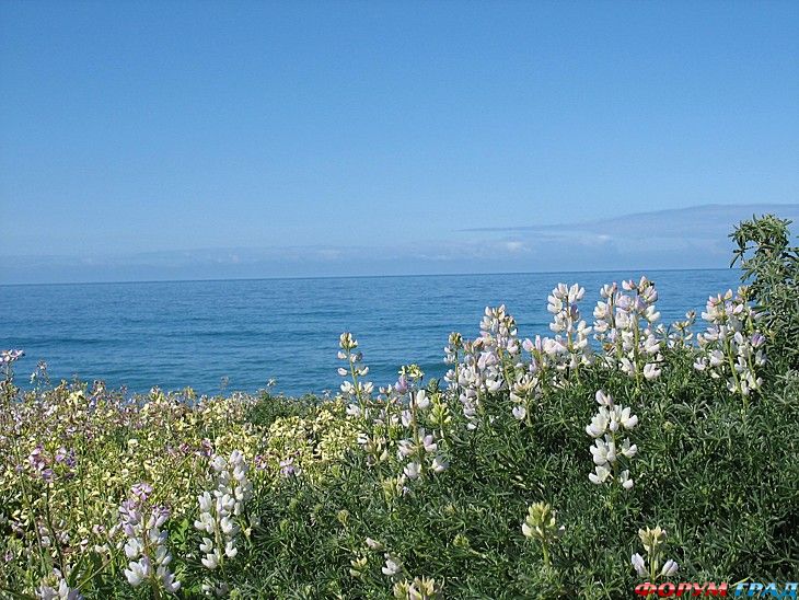 самостоятельные путешествия