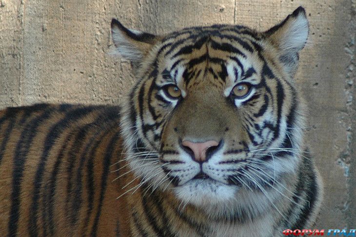 самостоятельные путешествия