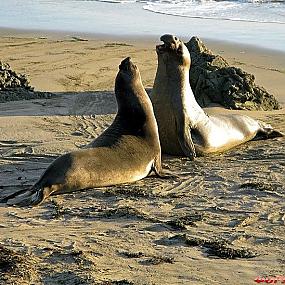 самостоятельные путешествия