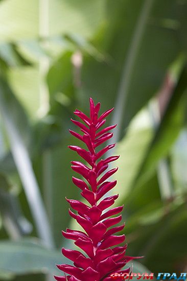 самостоятельные путешествия