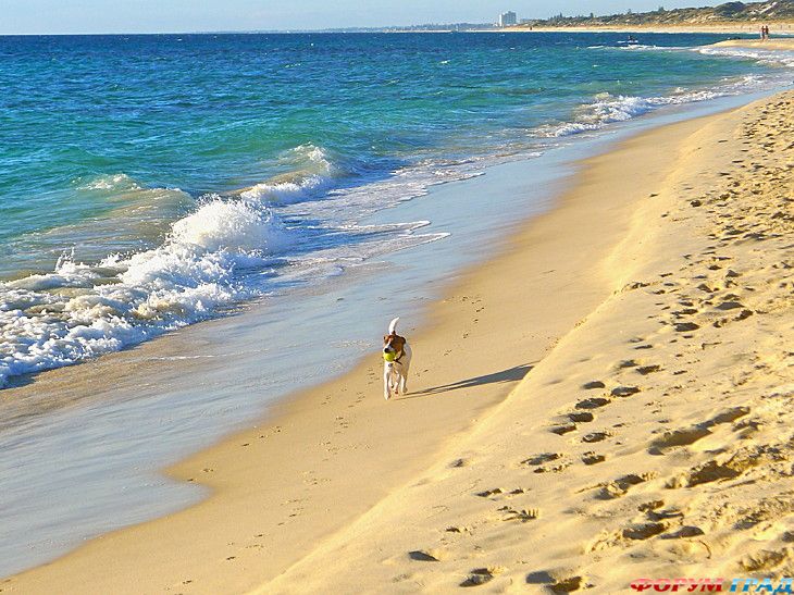 самостоятельные путешествия