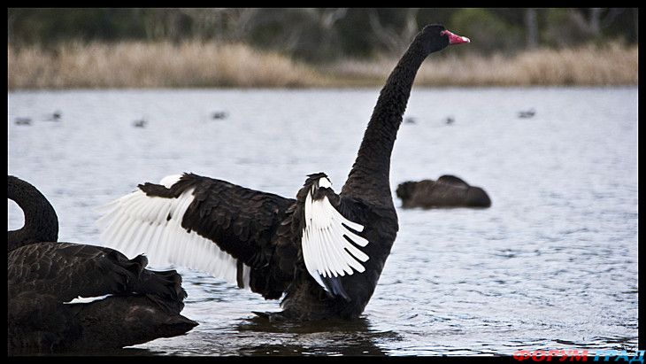 самостоятельные путешествия