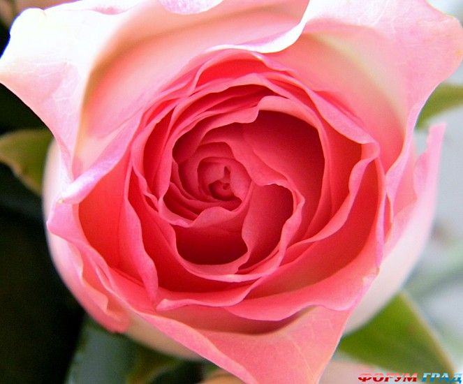 самостоятельные путешествия