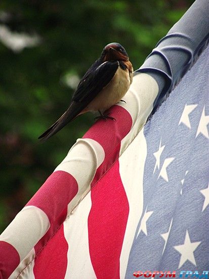 самостоятельные путешествия