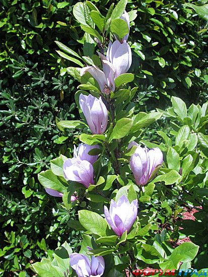 самостоятельные путешествия