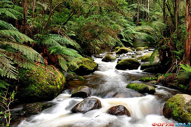 самостоятельные путешествия