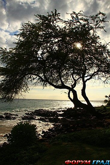 самостоятельные путешествия