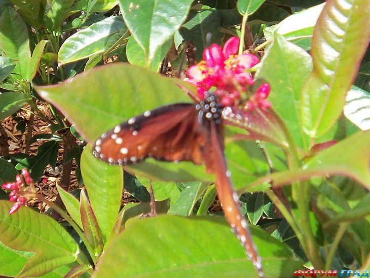 самостоятельные путешествия