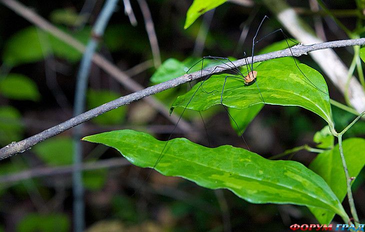 самостоятельные путешествия