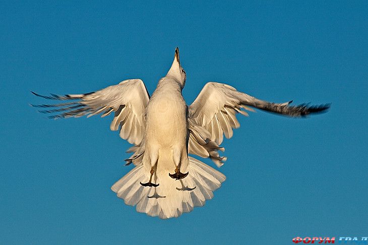 самостоятельные путешествия