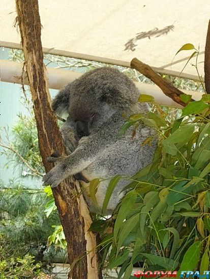 самостоятельные путешествия