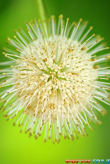 самостоятельные путешествия