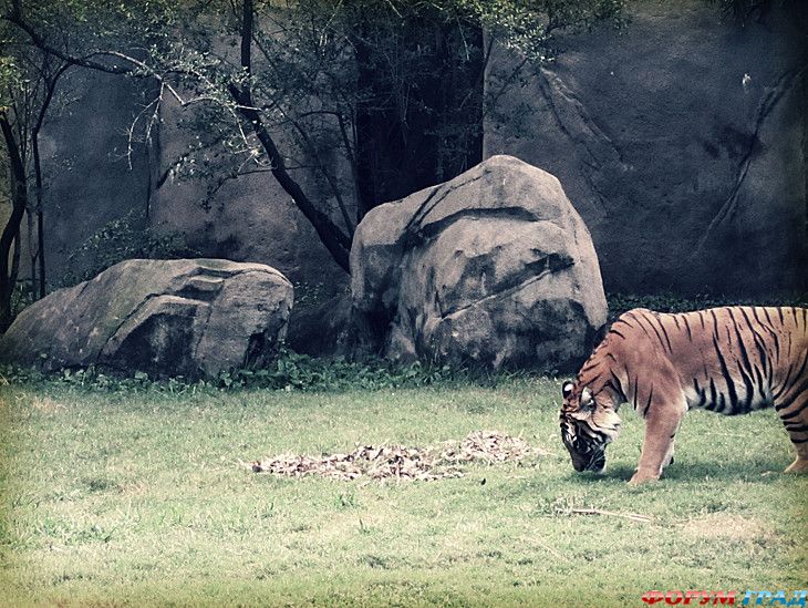 форум туристов