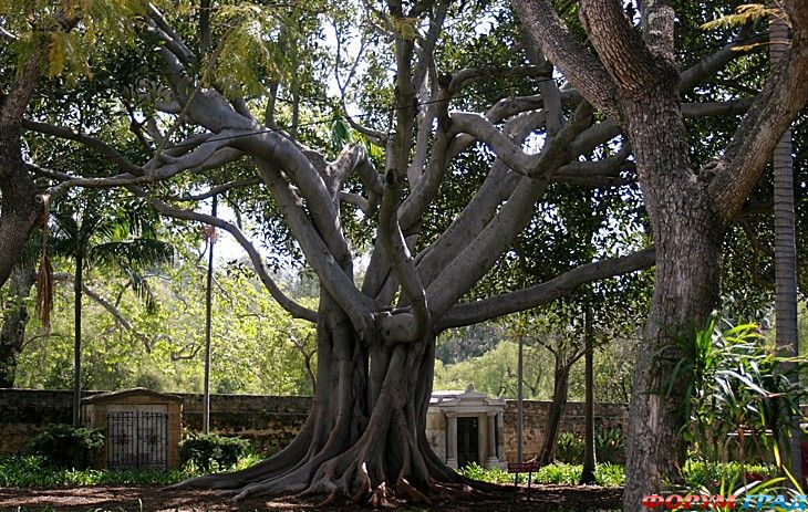 форум туристов