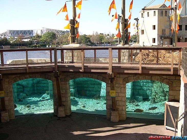 форум туристов