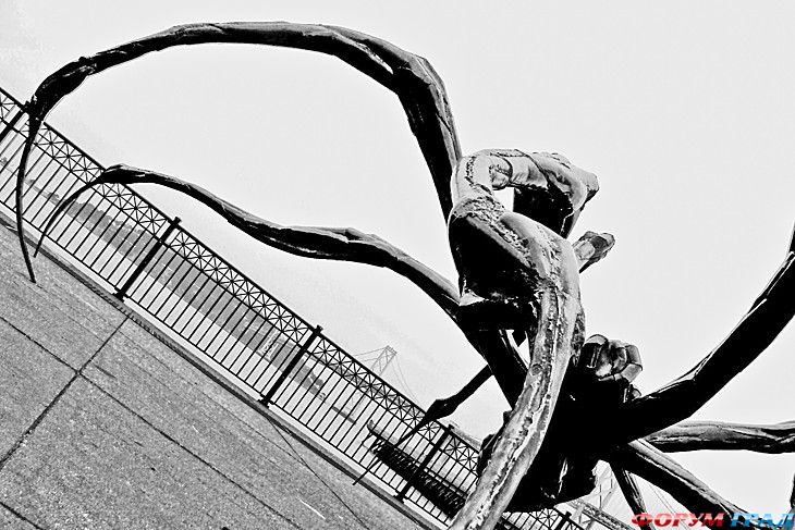 форум туристов