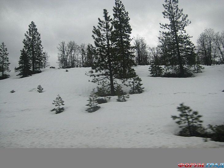 форум туристов