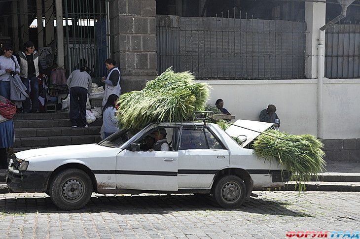 форум туристов